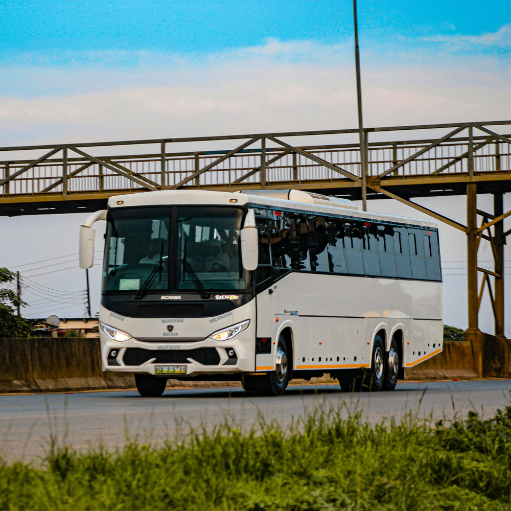 Bus