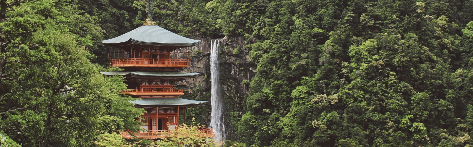 Cerezos en Flor. JAPON - imagen 1