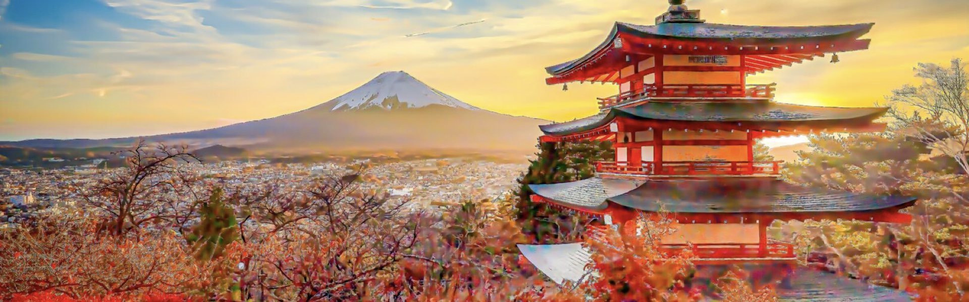 Cerezos en Flor. JAPON - imagen 2