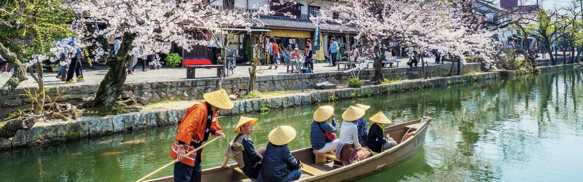 Cerezos en Flor. JAPON - imagen 4