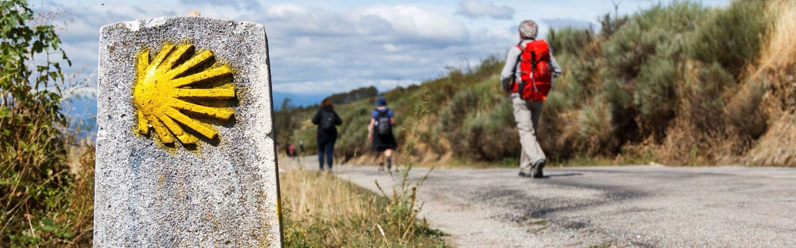 Camino de Santiago - imagen 1